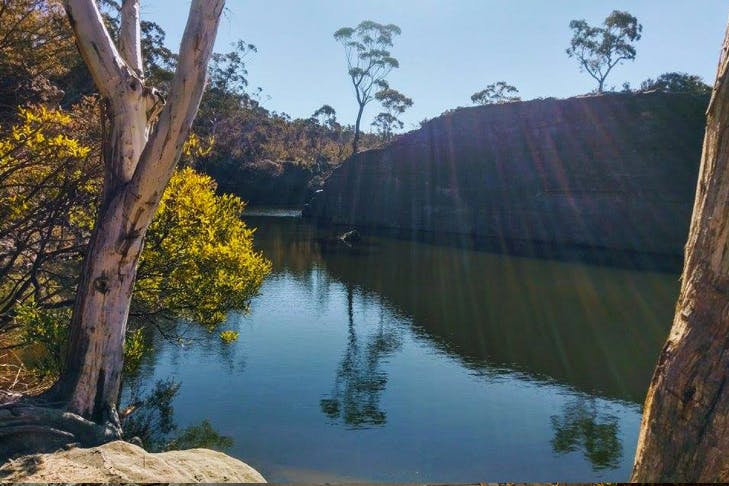 bush dam